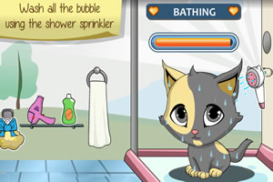 打扮可爱小花猫