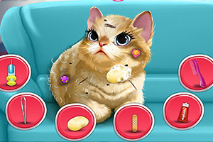 芭比超人营救宠物