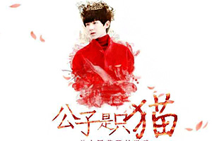 公子是只猫