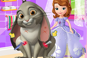 治疗索菲亚的宠物