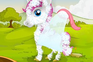 照顾可爱白色小马