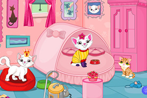 猫咪凌乱的房间