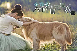 人和狗的三个故事