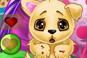 治疗受伤小狗狗