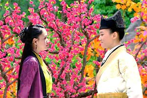 武林群侠传之小师妹