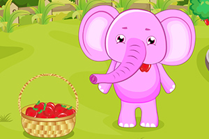 照顾可爱的小象