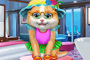 猫咪的护理和美容