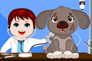宠物宝宝看医生