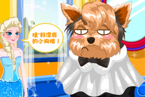 艾莎的小狗受伤了