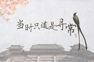 当时只道是寻常