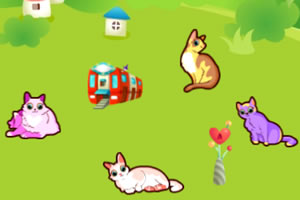猫咪乐园