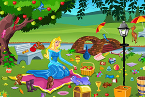 欧若拉野餐后的清洁