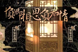 负卿相思负君情