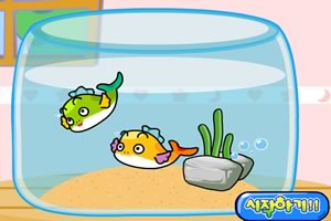 喂养金鱼