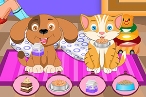 照顾你的可爱宠物