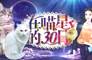 在喵星的30日