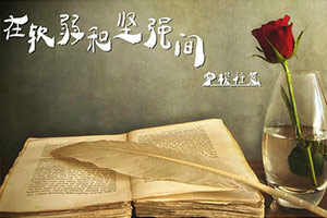 在软弱和坚强间穿梭往复