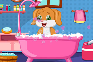 照顾可爱的普皮