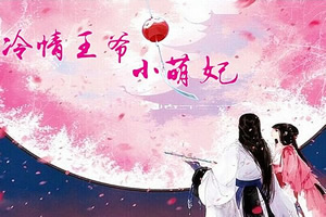 冷情王爷小萌妃