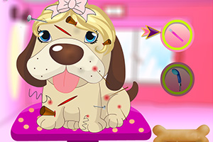 可爱小狗做护理