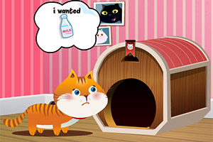 布置喵星人小窝