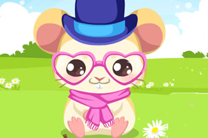 照顾超萌小仓鼠