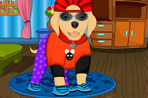 拉布拉多犬的护理