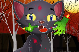 万圣节宠物护理