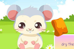 照顾可爱萌仓鼠