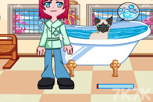 萝莉的宠物美容院