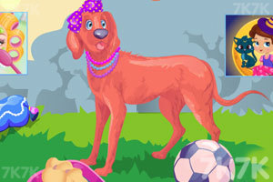 哪只萌犬属于你