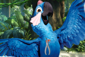 帮助鹦鹉治疗伤口