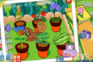 小狗种美丽鲜花