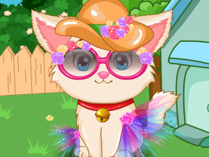 照顾可爱小猫咪