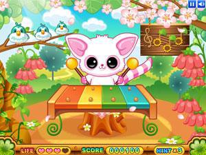 可爱猫咪教木琴