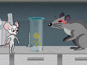 女白鼠实验室逃生