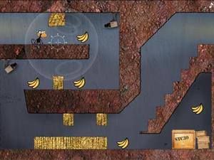 扭曲现实的猴子