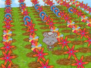 小灰灰的梦幻花园