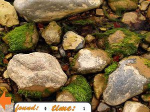 乱石堆中找宝石