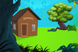 可爱鹦鹉逃出房子