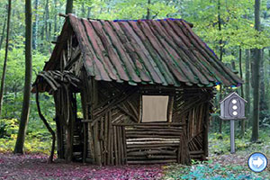 格里夫森林逃脱