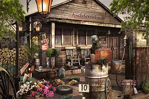 美国乡村找东西