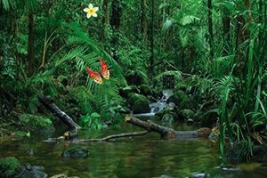 逃离麻雀聚集地