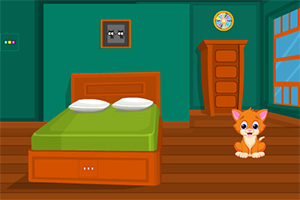 饥饿的小猫逃出小屋