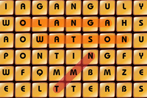 棒球单词大搜索