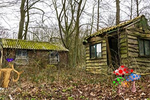 小鹿逃出废弃的动物园