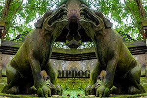 狗石像神庙逃脱