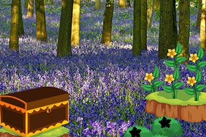 逃离花蝴蝶丛林