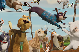 丛林大反攻找东西