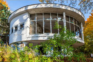 猴子逃出废弃大楼